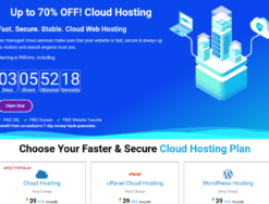 Buy Hosting Themes with Free Domain